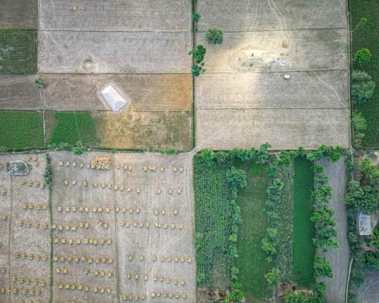 An Aerial Shot of an Agricultural Field